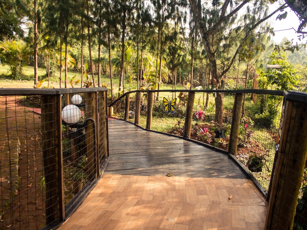 A wooden walkway is seen winding through a lush garden, surrounded by tall trees and vibrant plants. Soft lighting fixtures line the path, contributing to the serene atmosphere of the outdoor area.