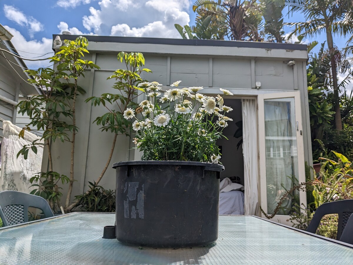 A simple garden scene features a circular black planter filled with white daisies, placed on a glass table. In the background, a cabin can be seen, with large glass doors partially open, revealing a glimpse of the interior and surrounding lush foliage.