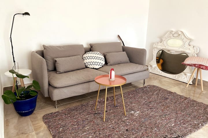 Canapé relaxant et salon lumineux spacieux