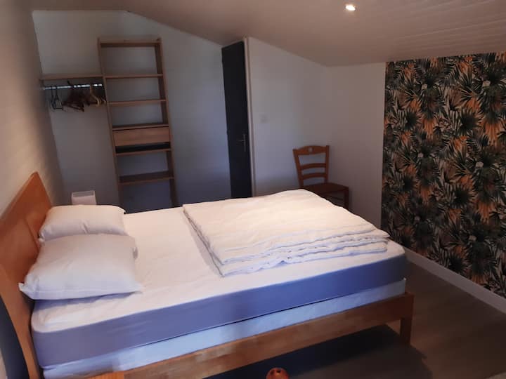 Logement Parentis En Born - Landes