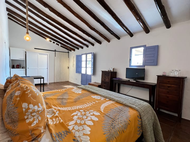 Habitación 1