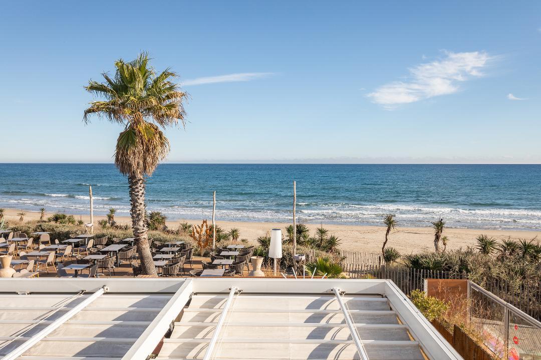 A serene ocean view is captured from the terrace, featuring a palm tree in the foreground. The beach and calm waters stretch into the distance, framed by lounge chairs and tables at a nearby café. A clear sky enhances the tranquil atmosphere.