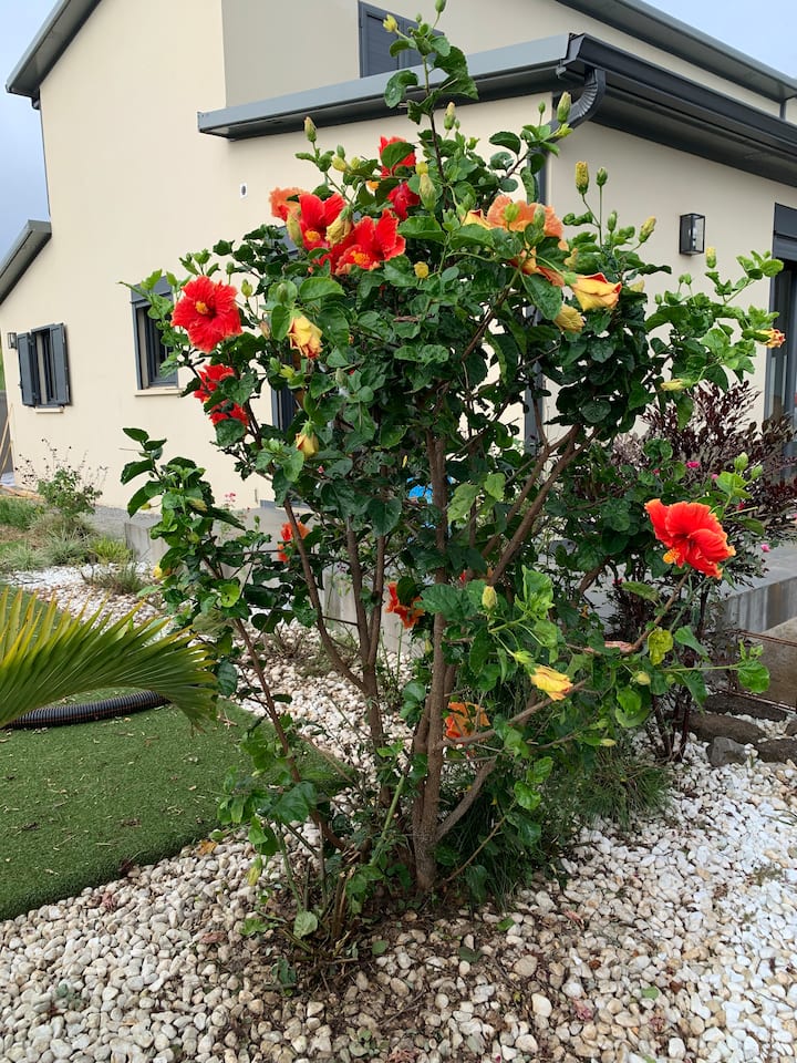 Villa Jo & Jo Houses for Rent in SaintPierre, SaintPierre, Réunion