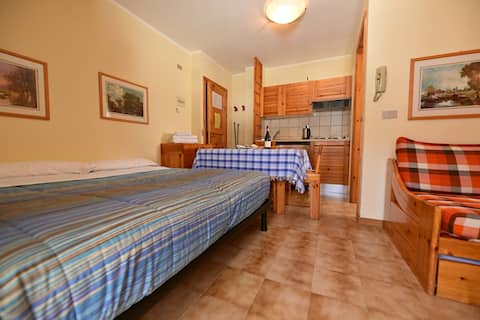 Mono2 v. Viola Valdidentro river