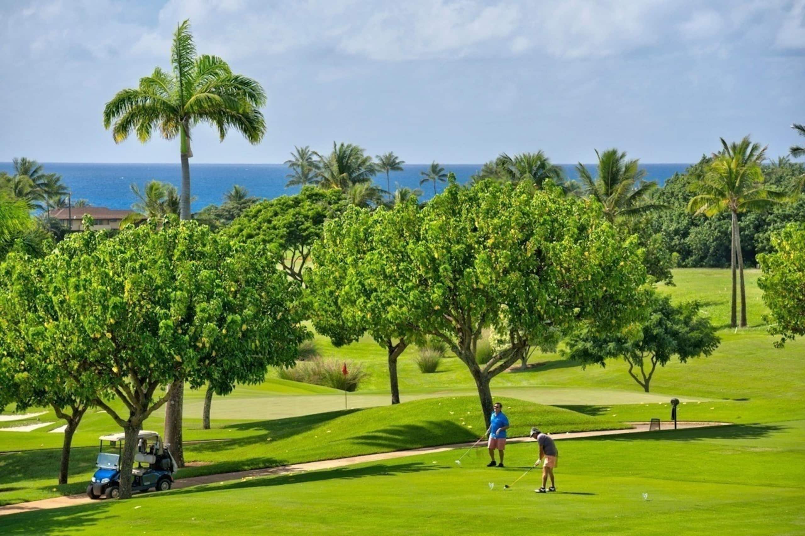 Home in Koloa · ★4.94 · 4 bedrooms · 5 beds · 3.5 private baths - Image 36