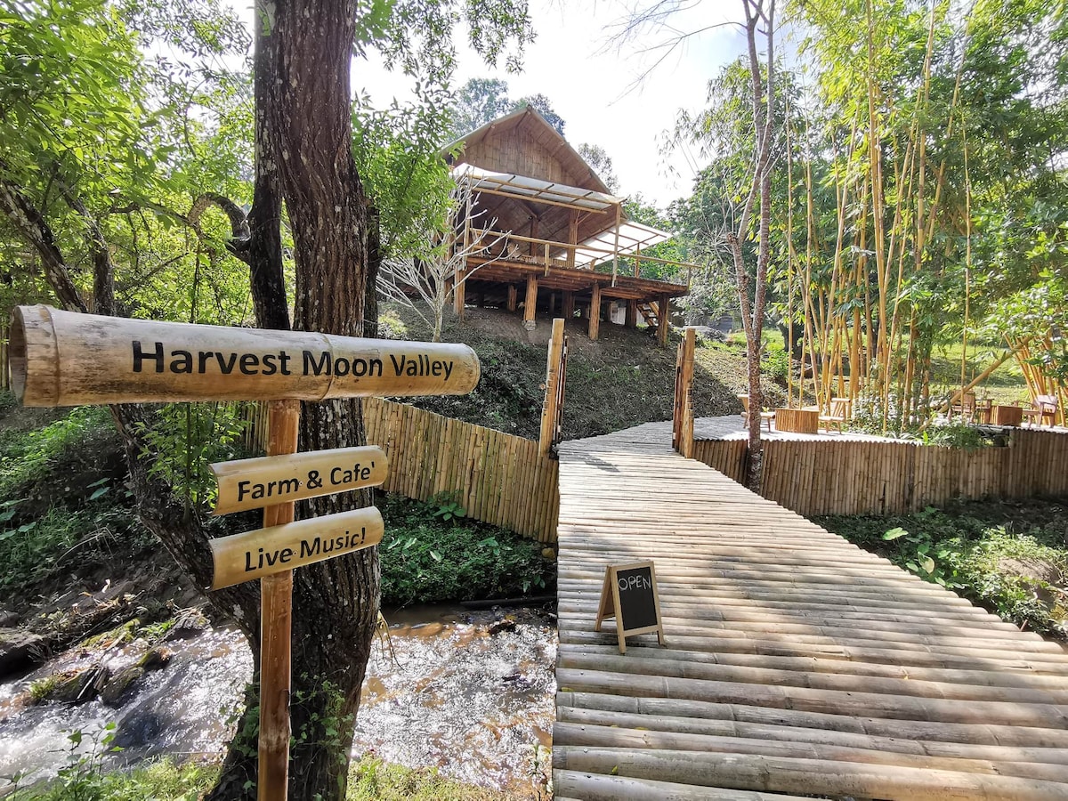 A wooden pathway leads to a welcoming structure nestled among lush greenery. Signs indicate attractions such as 'Farm & Café' and 'Live Music.' The natural surroundings feature a small stream, and bamboo elements enhance the rural charm of the setting.