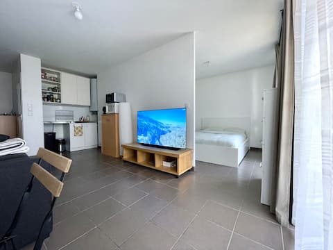 Modern and calm apartment / Villeurbanne