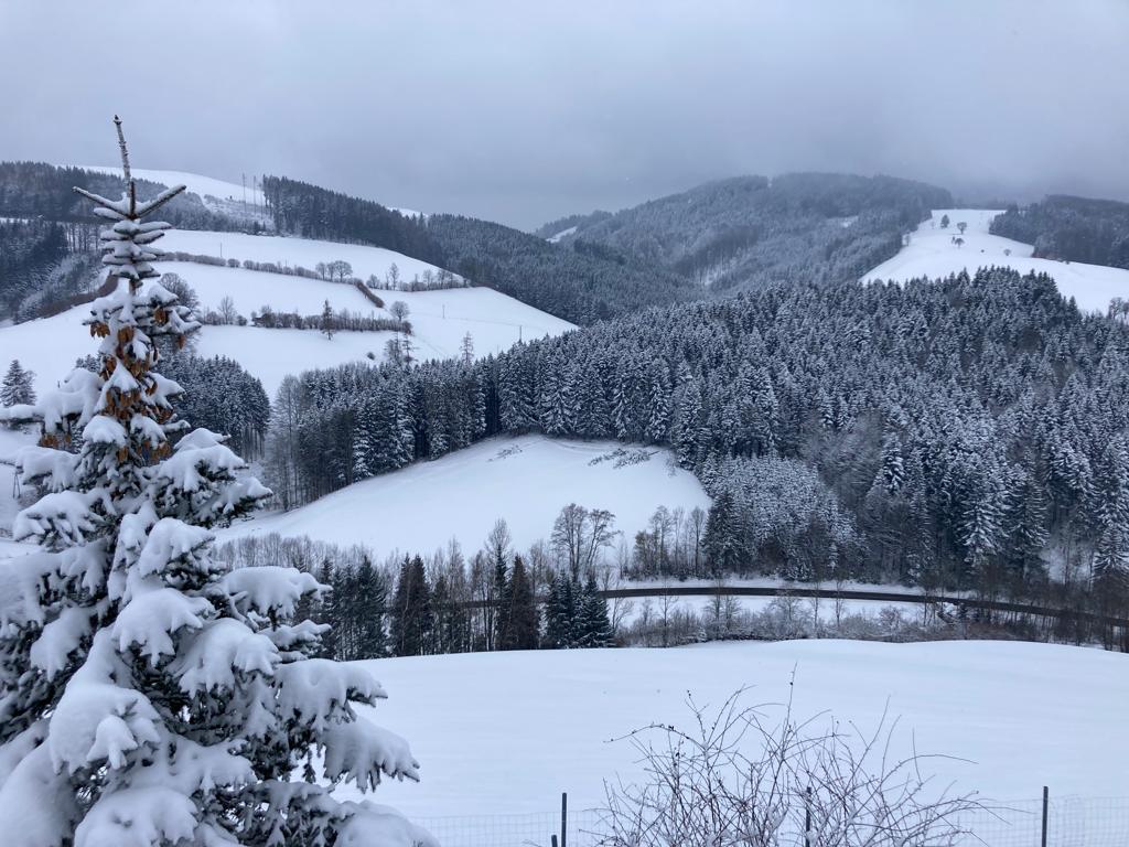 A snow-covered landscape features rolling hills and dense coniferous forests. The ground is blanketed in fresh snow, creating a serene contrast with the gray sky. A partially snow-covered tree in the foreground adds depth to the winter scene.