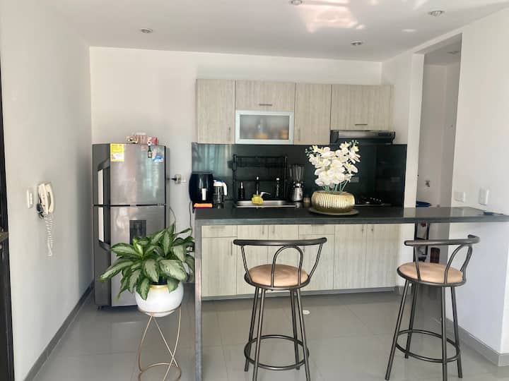 Furnished Studio Apartment Apartments for Rent in Barranquilla