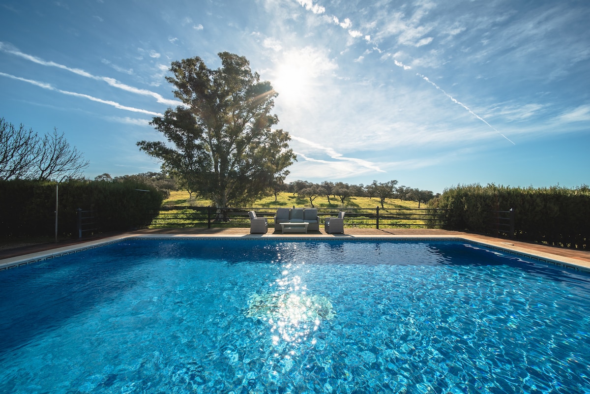 A clear pool is visible, reflecting sunlight and surrounded by lush greenery and a sunlit landscape. Comfortable loungers are positioned nearby for relaxation. The sky is bright with scattered clouds, enhancing the serene outdoor atmosphere.