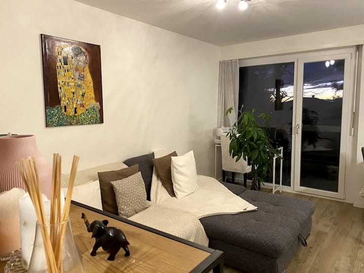 Modern apartment, Lausanne Apartments for Rent in Lausanne, Vaud