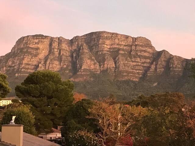 Beautiful family home with gorgeous Mountain views gallery image 3