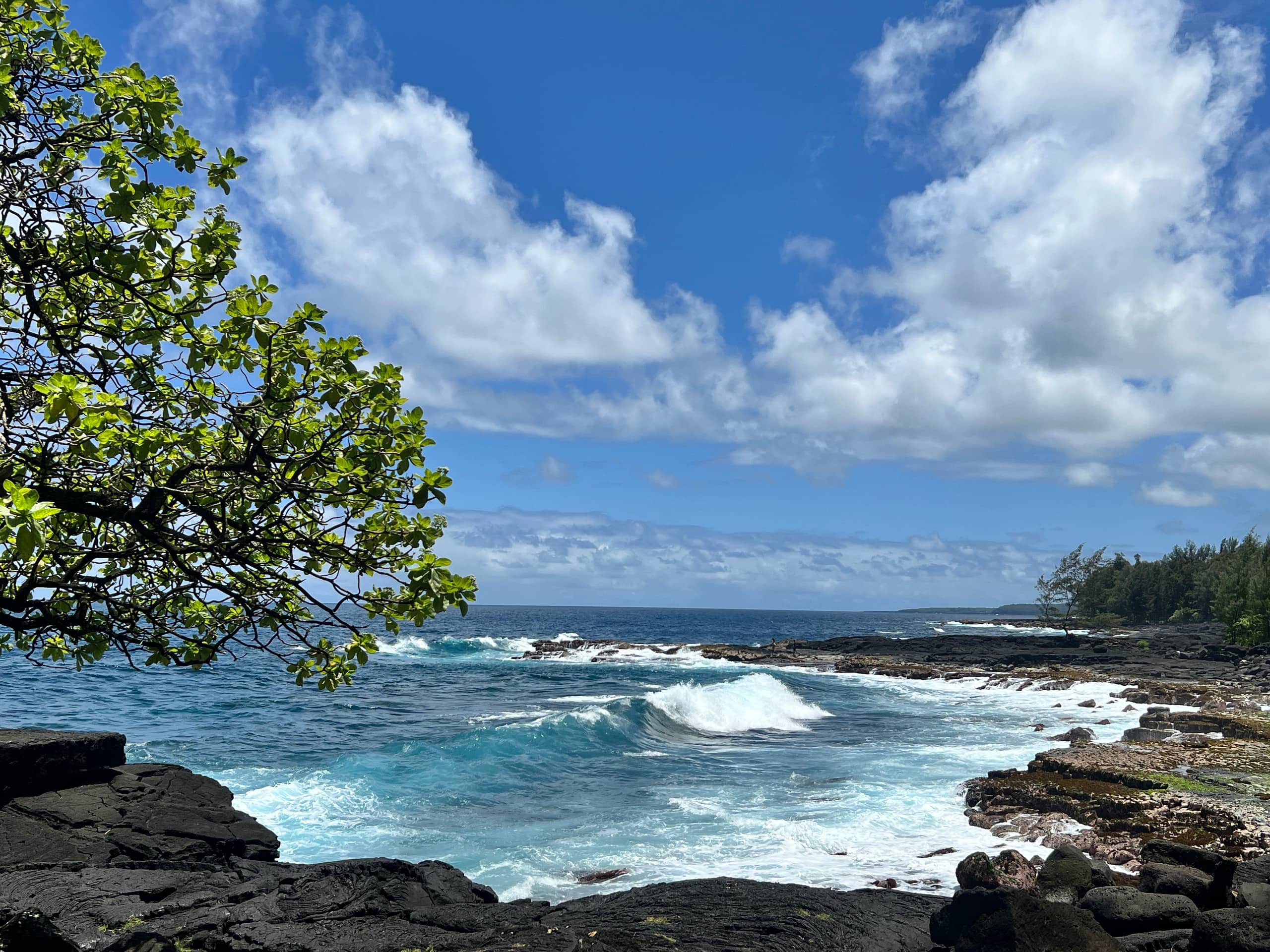 Home in Keaau · ★4.81 · 3 bedrooms · 4 beds · 2 private baths - Image 7