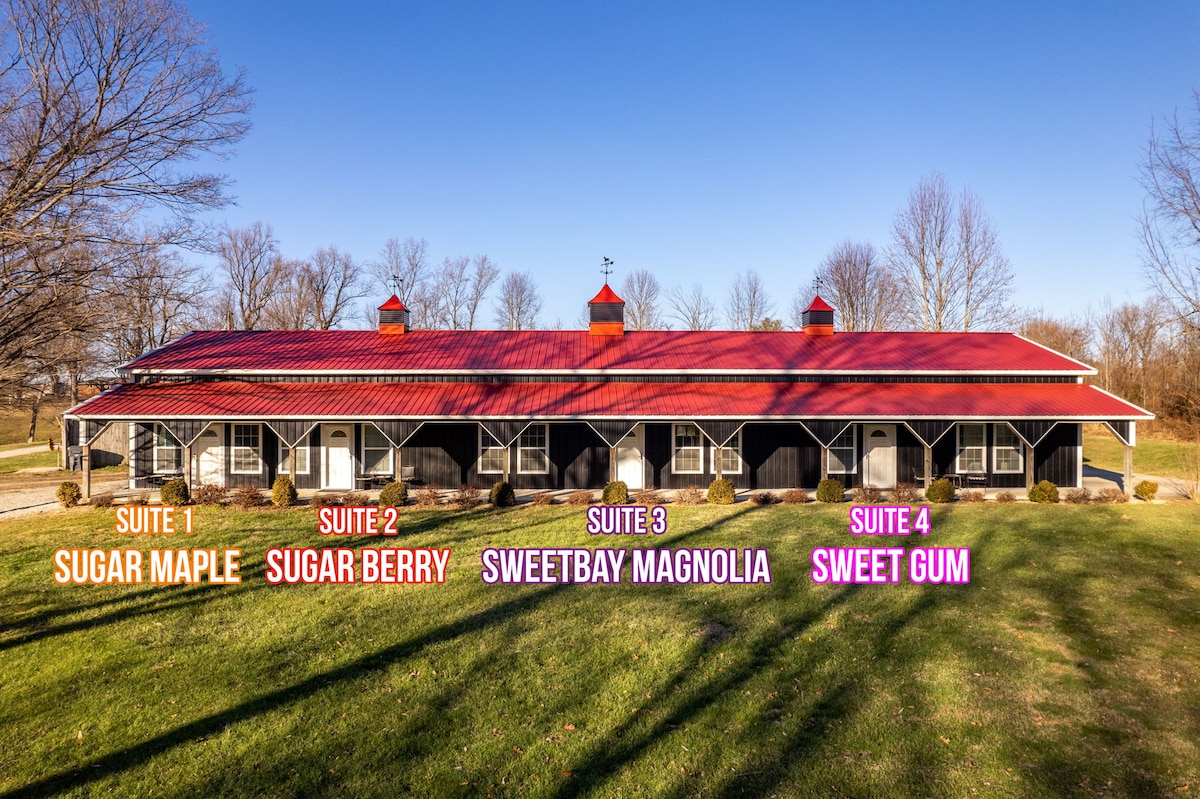 A multi-suite building is displayed, featuring four distinct suites identified by colorful signage. The structure is complemented by a striking red roof and large windows, with well-manicured grass surrounding the property. Trees are visible in the background against a clear sky.