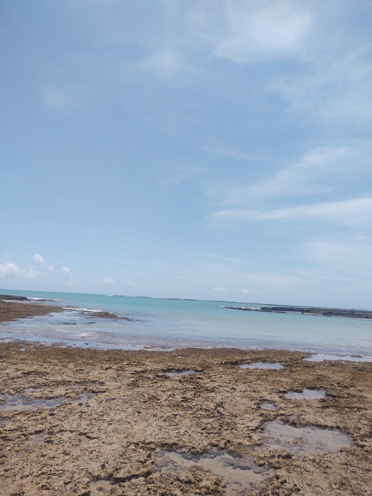 A tranquil beach scene is captured with clear blue skies above and gentle waves lapping against the shore. The rocky coastline reveals patches of wet sand and shallow water, extending towards a horizon where the sea meets the sky.