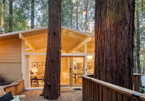 Window to the Redwoods: Near Downtown & Muir Woods