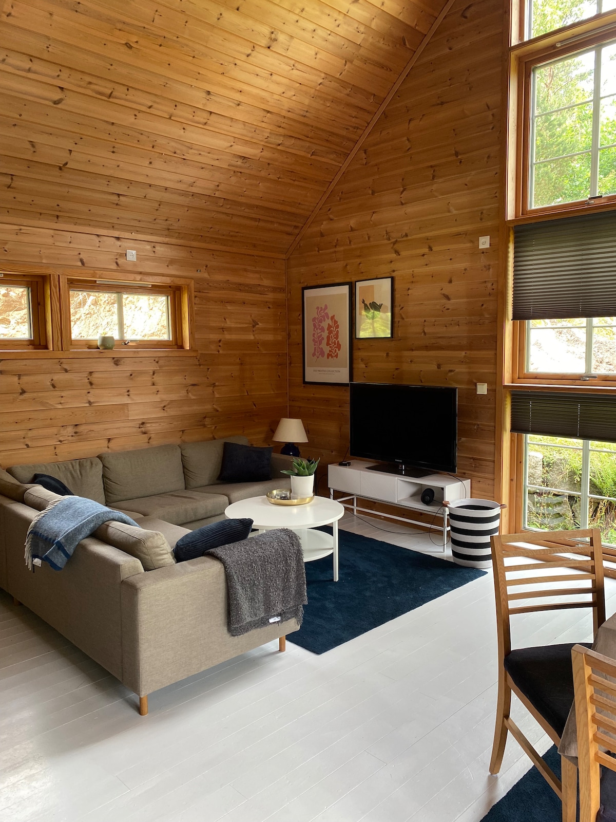A cozy living area is presented with wooden walls and ample natural light. A comfortable sofa is complemented by a throw blanket and a small plant. A television is positioned on a white media console, and dining chairs surround a natural wood table.