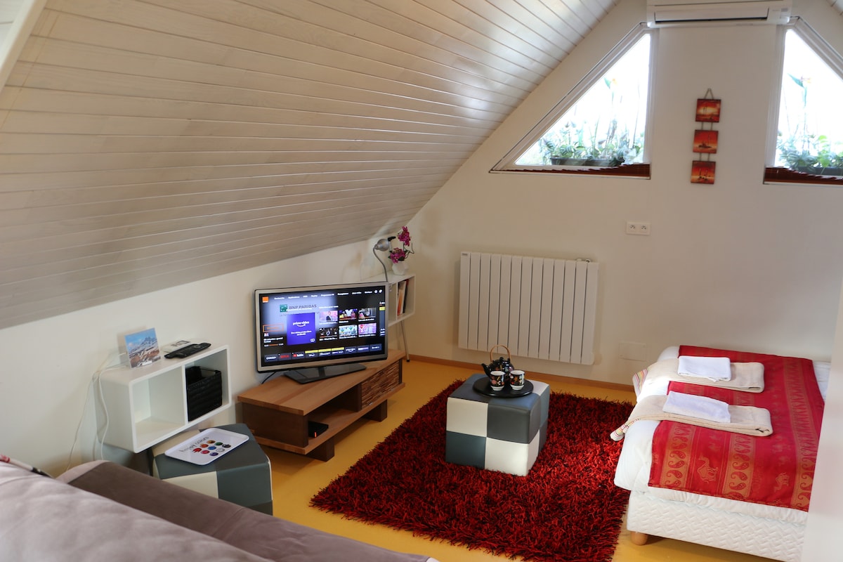 Propriété Airbnb réussie: Large 36 m² independent studio à Robertsau