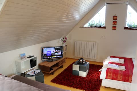 Propriété Airbnb réussie: Large 36 m² independent studio à Robertsau