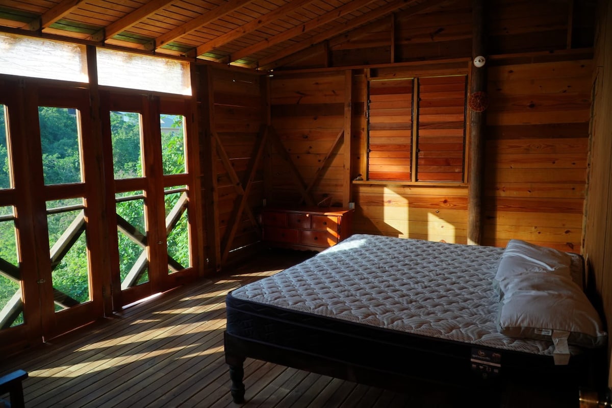 A wooden cabin bedroom features a spacious bed centered on a polished wooden floor. Large windows with wooden frames allow natural light to fill the room, highlighting the rustic design. Green foliage is visible outside, creating a serene connection to nature.