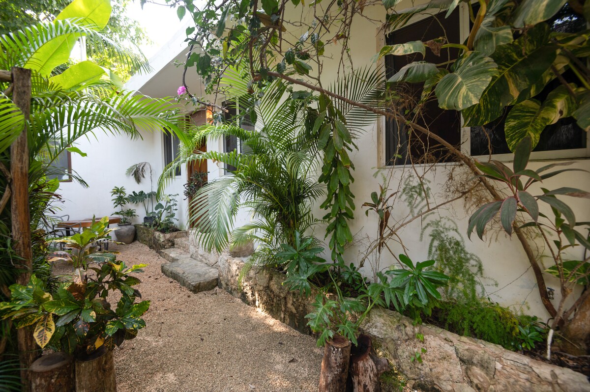 A serene garden path is bordered by a variety of lush green plants and shrubs. Smooth stones create a natural walkway leading to the entrance of a bright building, where large windows allow light to filter through, enhancing the natural ambiance.