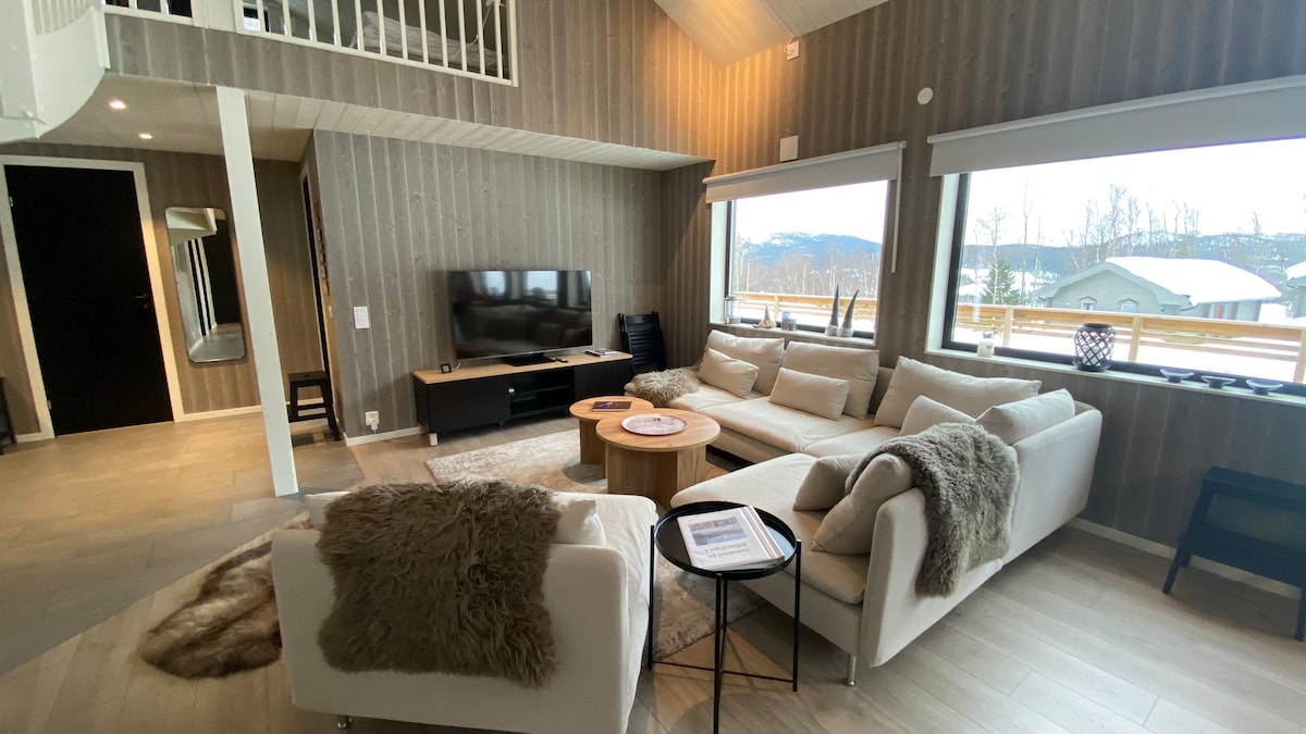 Დივანი და ტელევიზორი