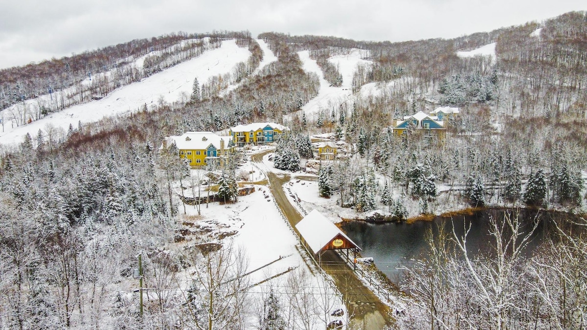 A winter landscape shows a ski resort surrounded by snow-covered hills and trees. The colorful buildings of the resort are nestled among the white landscape, with a small pond reflecting the scenery. The winding road leads into the resort, enhancing the inviting atmosphere.