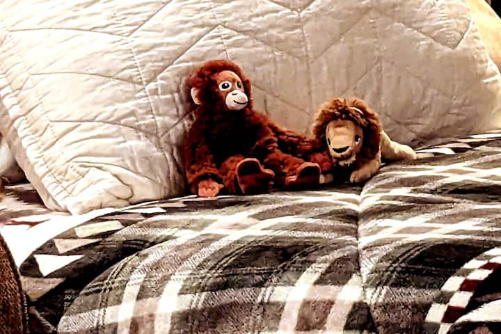 ספה זוגית מושלמת לסט הצעיר. כמו כל המיטות שלנו, זה כולל ספירת חוטים גבוהה של מצעי כותנה פימה.