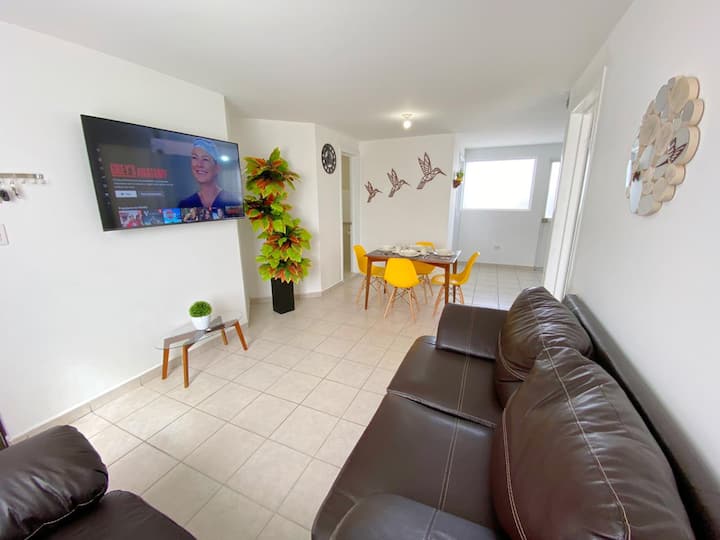Clean And Quiet Apartment - Durango, México