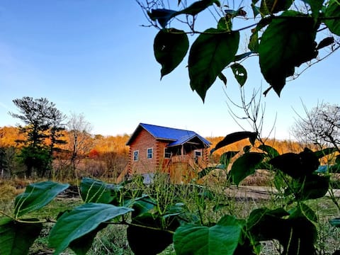 Creekside Cottage