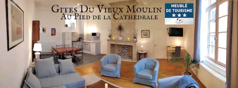 Gites du Vieux Moulin Cathedral Apt Duplex XXL