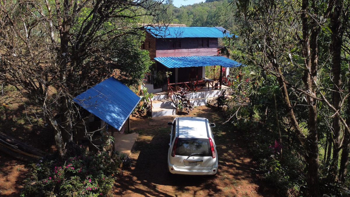 A wooden cabin is nestled among trees, featuring a bright blue metal roof. A gravel path leads to the cabin, where outdoor seating is arranged on a porch. A vehicle is parked nearby, surrounded by lush greenery and flowering plants.