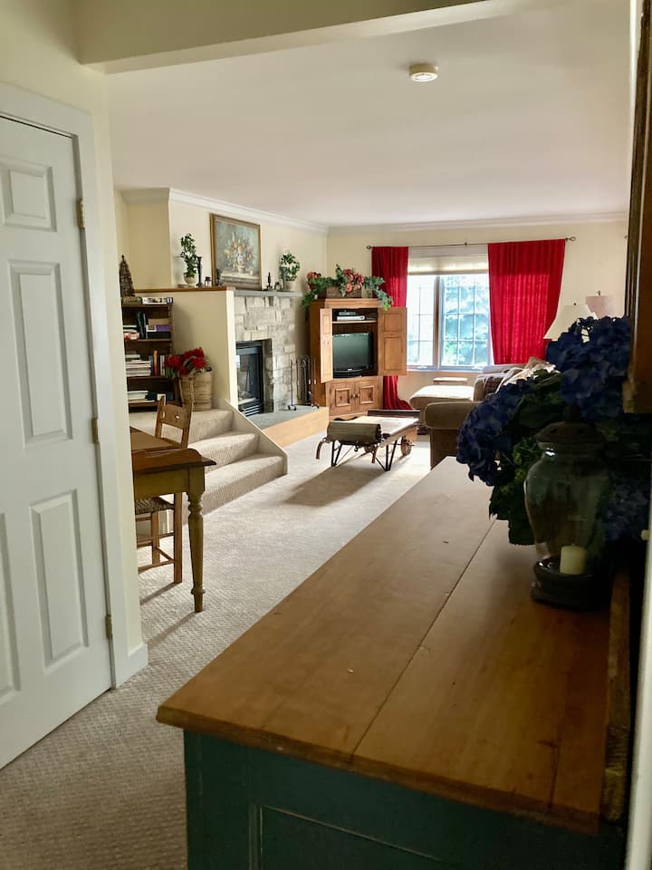 المدخل إلى الشقة