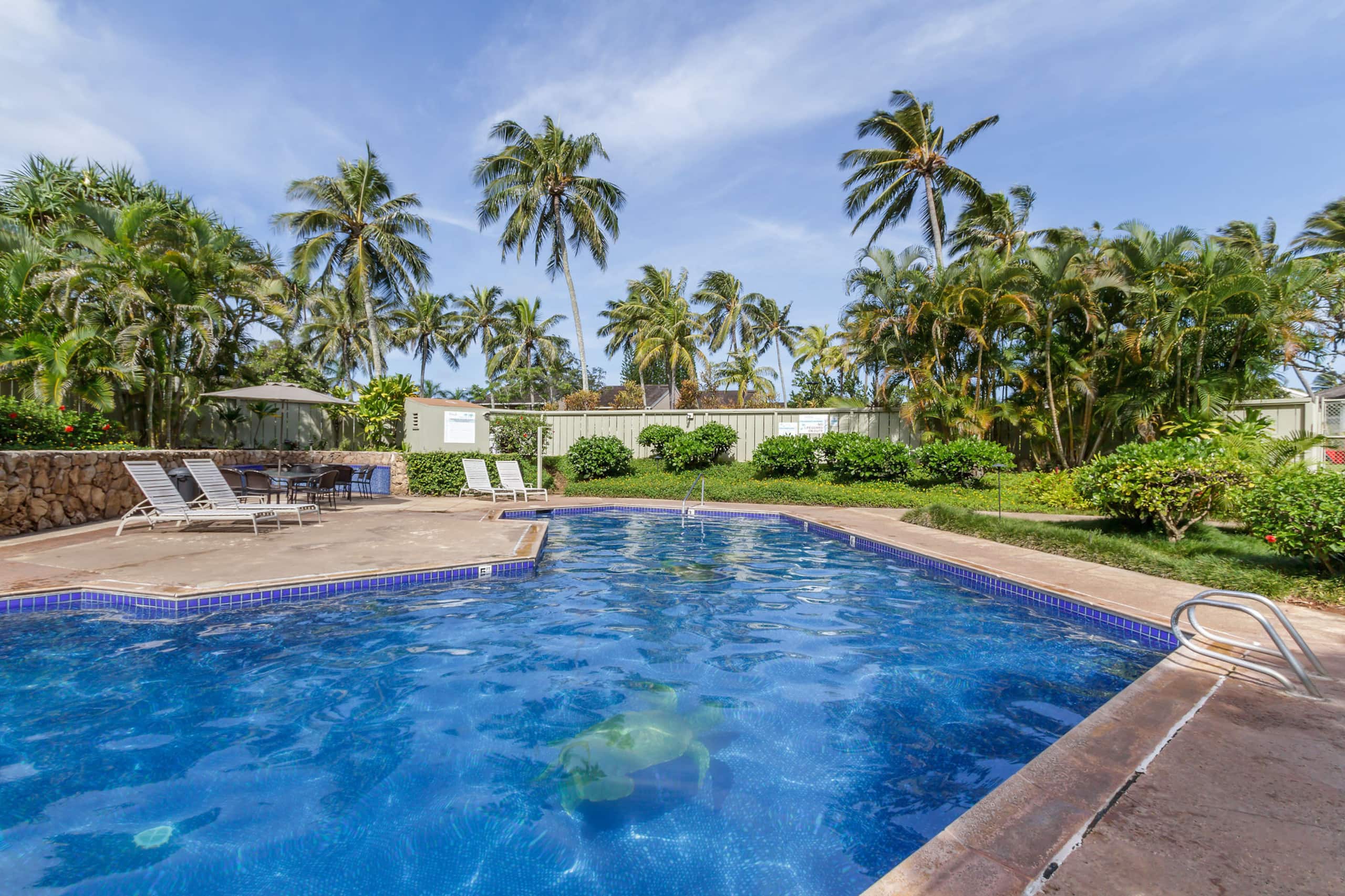 Condo in Kahuku · ★4.93 · 1 bedroom · 1 bed · 1 shared bath - Image 1