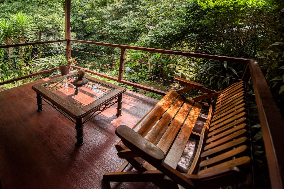 A wooden terrace features a rustic wooden table and a slatted bench seat, surrounded by vibrant greenery. The space invites relaxation, with natural light filtering through the lush plants, creating a serene outdoor setting.