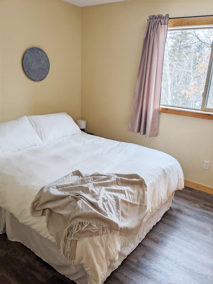 Main level bedroom 2