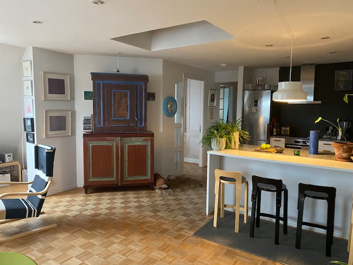 Penthouse In The City Center - Turku