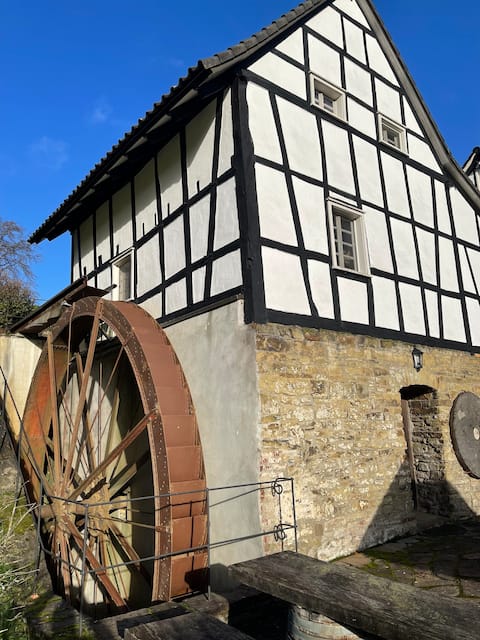 Birkenmühle old mill building half-timbered ensemble