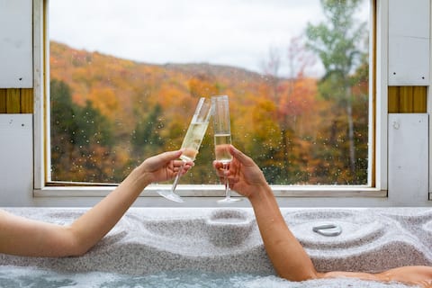 BearForceOne- Hot Tub, Pool Table, Fire-pit, Views