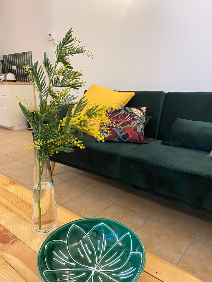 Appartement En Vieille Ville - Le Puy-en-Velay