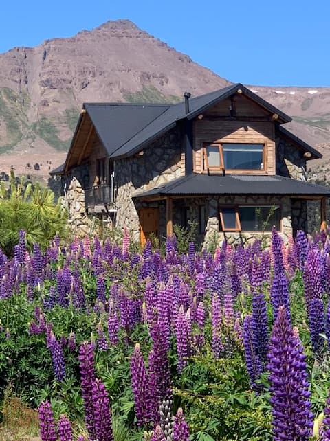 Cozy cabins on Lake Caviahue
