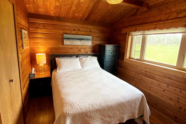 Second bedroom with queen bed