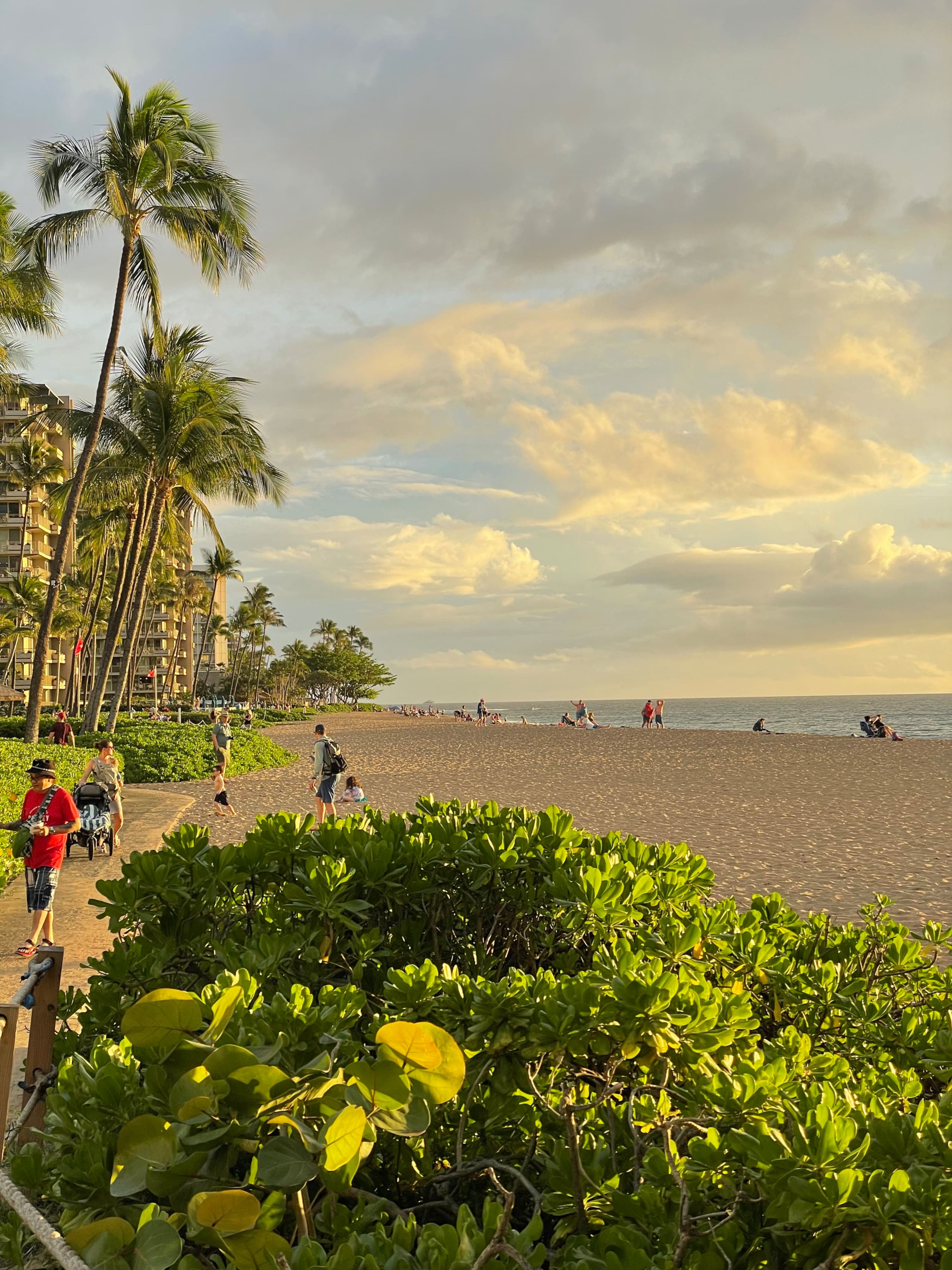 Condo in Lahaina · ★5.0 · 2 bedrooms · 2 beds · 2 baths - Image 27