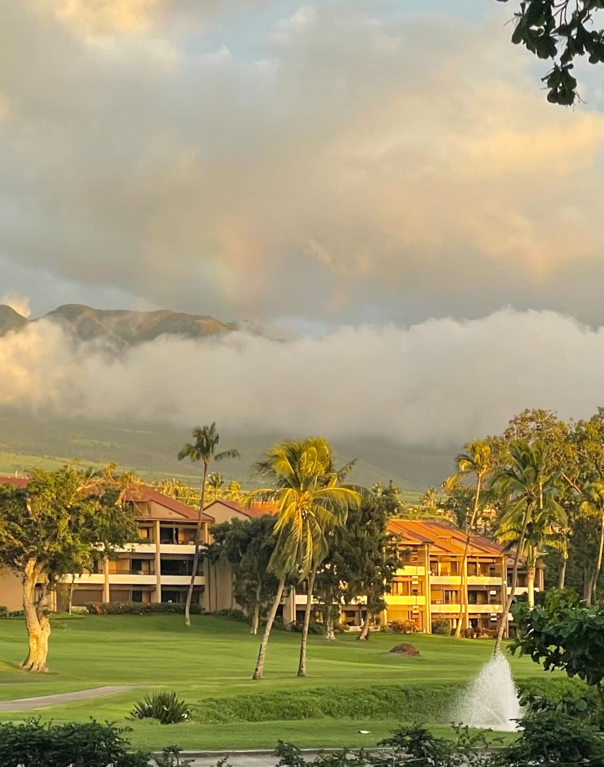 Condo in Lahaina · ★5.0 · 2 bedrooms · 2 beds · 2 baths - Image 1