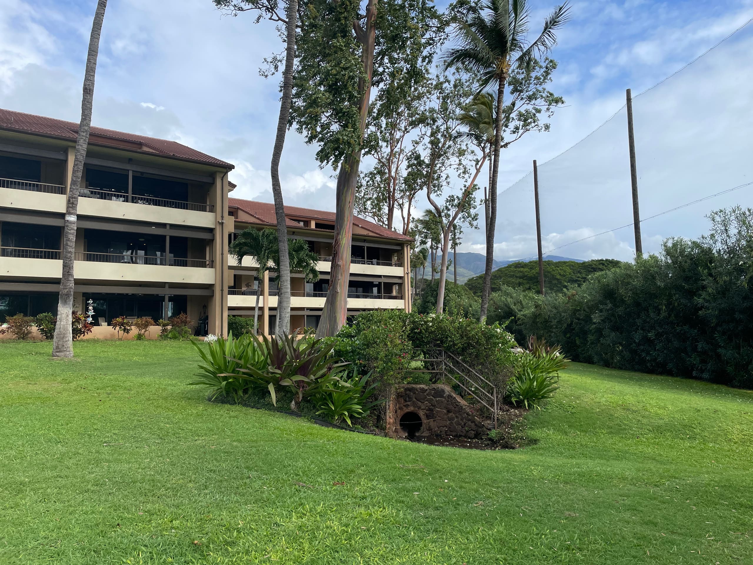 Condo in Lahaina · ★5.0 · 2 bedrooms · 2 beds · 2 baths - Image 30