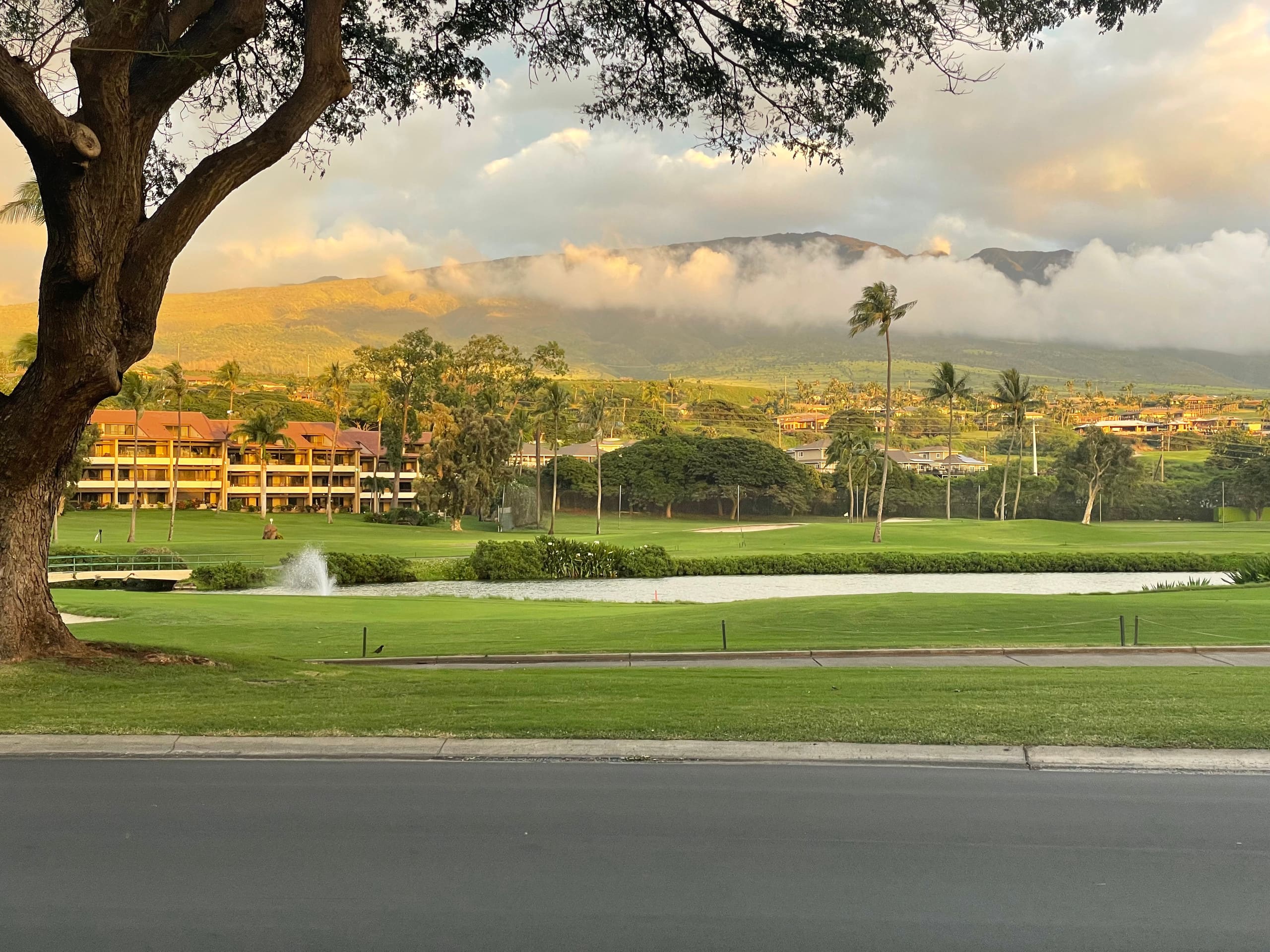 Condo in Lahaina · ★5.0 · 2 bedrooms · 2 beds · 2 baths - Image 29