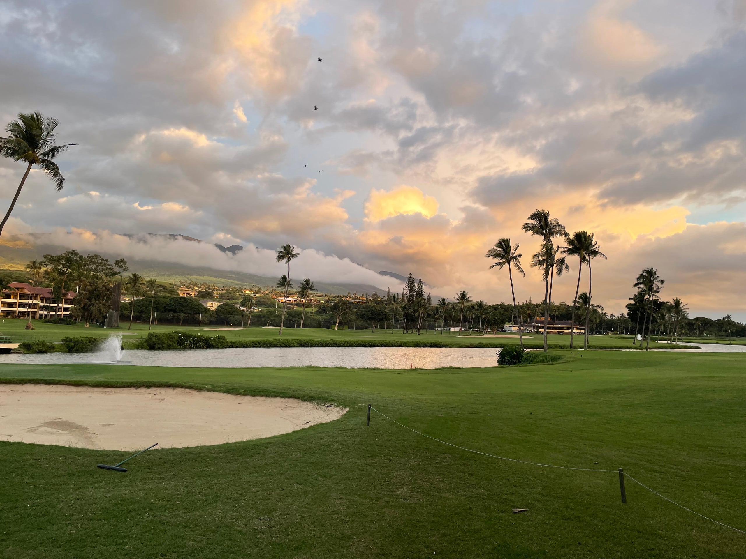 Condo in Lahaina · ★5.0 · 2 bedrooms · 2 beds · 2 baths - Image 22