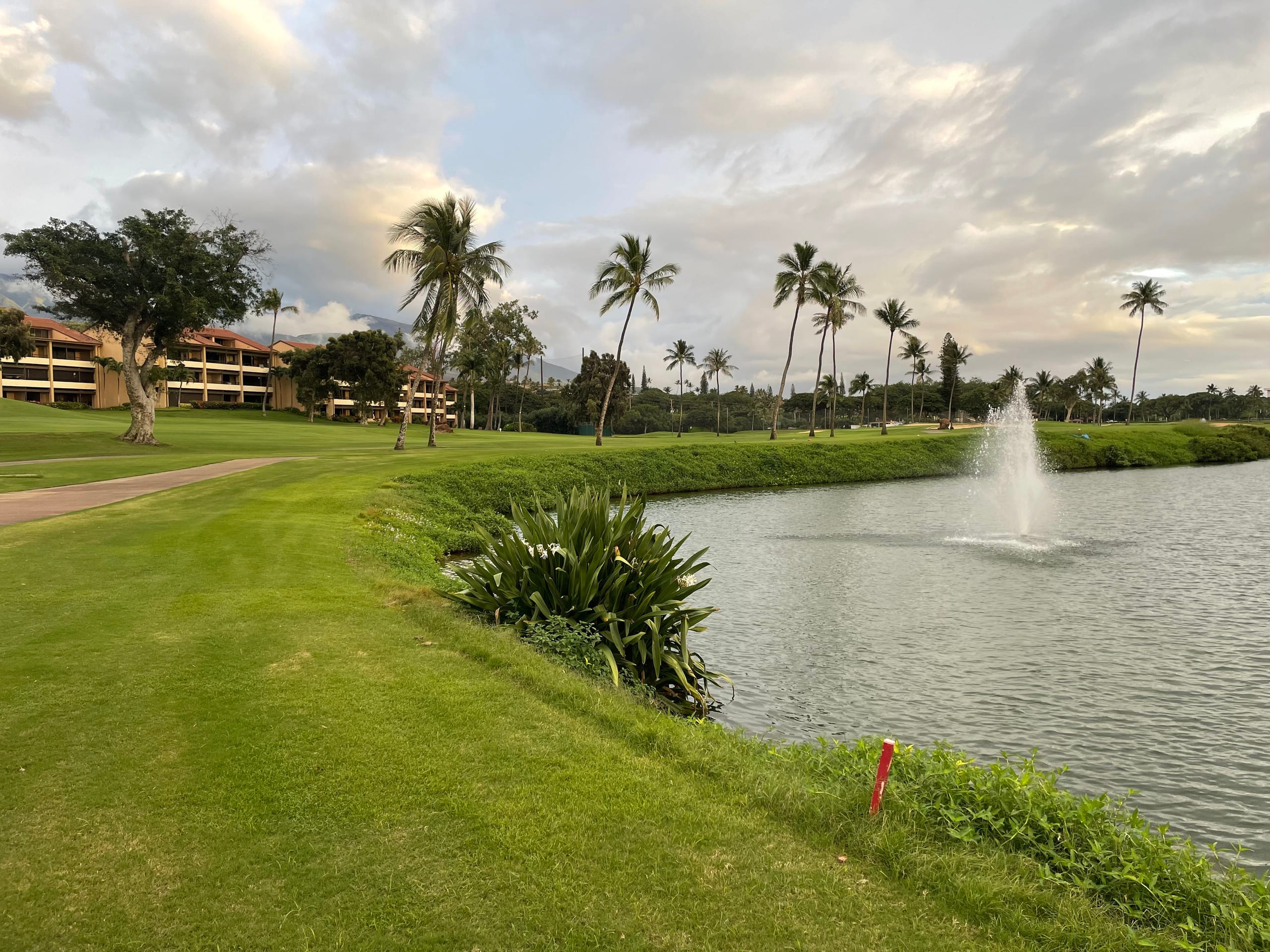 Condo in Lahaina · ★5.0 · 2 bedrooms · 2 beds · 2 baths - Image 28