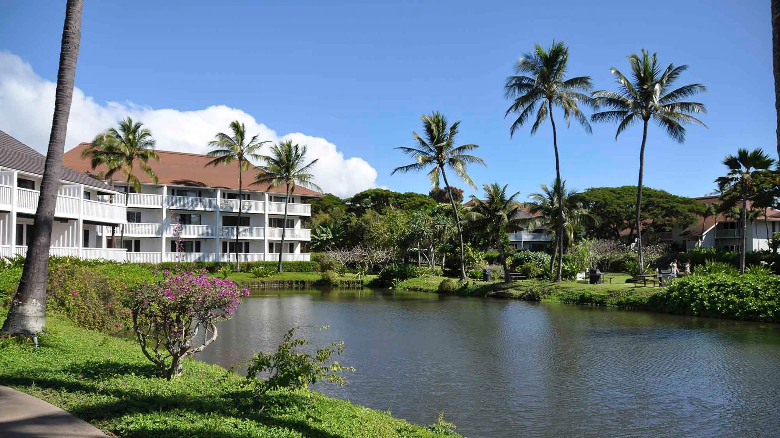 75 Yards to Poipu Beach, A/C, Pool, Beach Gear - Photo 25