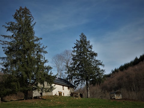 Organic Farm Holiday Home